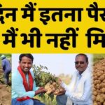 Aalu Ki Kheti Kaise Kare